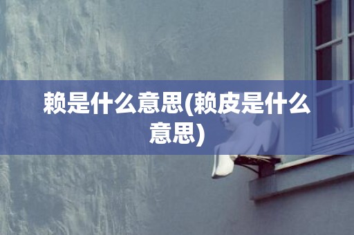 赖是什么意思(赖皮是什么意思)