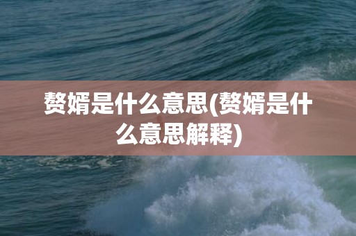 赘婿是什么意思(赘婿是什么意思解释)