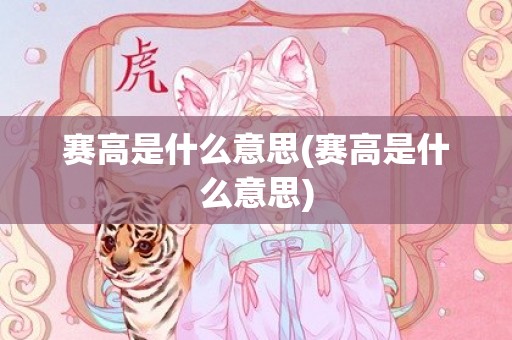 赛高是什么意思(赛高是什么意思)