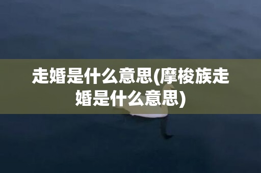 走婚是什么意思(摩梭族走婚是什么意思)