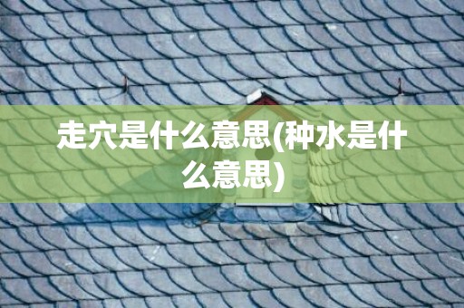 走穴是什么意思(种水是什么意思)