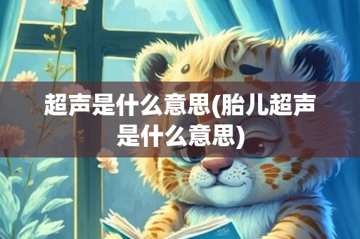 超声是什么意思(胎儿超声是什么意思)