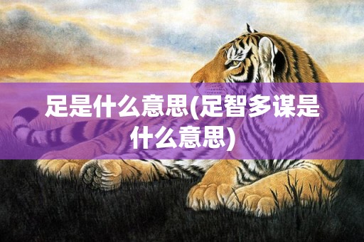 足是什么意思(足智多谋是什么意思)