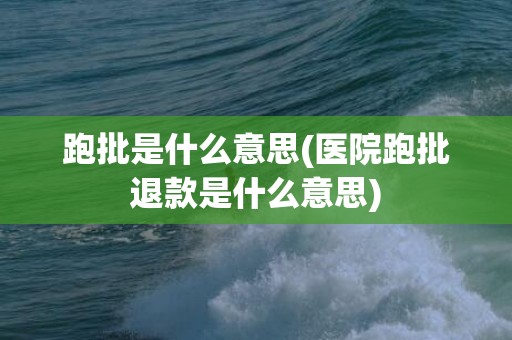 跑批是什么意思(医院跑批退款是什么意思)