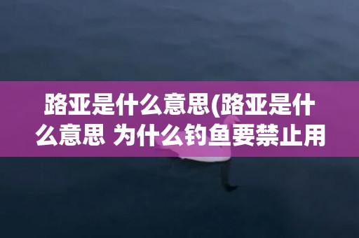 路亚是什么意思(路亚是什么意思 为什么钓鱼要禁止用路亚)