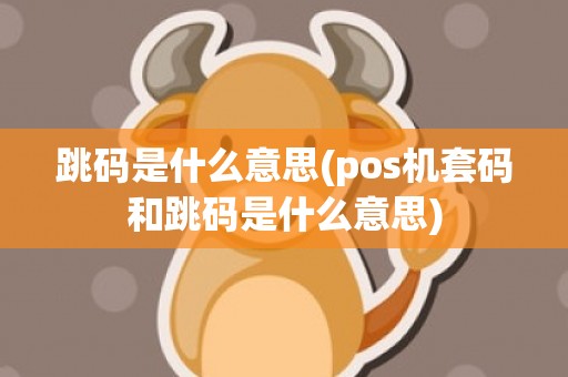 跳码是什么意思(pos机套码和跳码是什么意思)