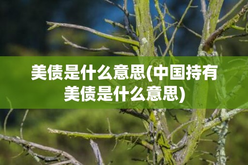 美债是什么意思(中国持有美债是什么意思)