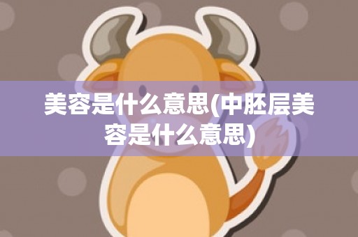 美容是什么意思(中胚层美容是什么意思)