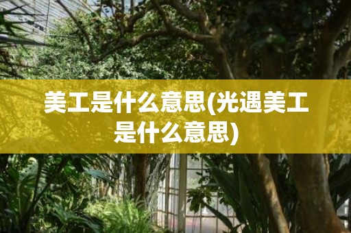 美工是什么意思(光遇美工是什么意思)