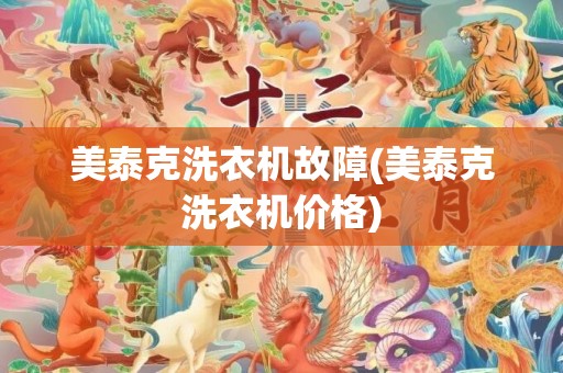 美泰克洗衣机故障(美泰克洗衣机价格)