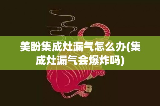美盼集成灶漏气怎么办(集成灶漏气会爆炸吗)