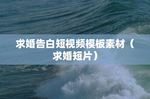 求婚告白短视频模板素材（求婚短片）