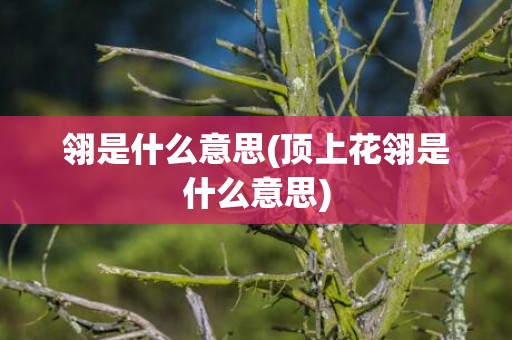 翎是什么意思(顶上花翎是什么意思)