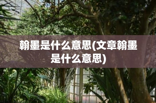 翰墨是什么意思(文章翰墨是什么意思)