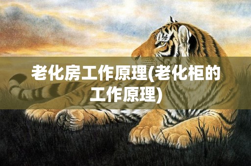 老化房工作原理(老化柜的工作原理)