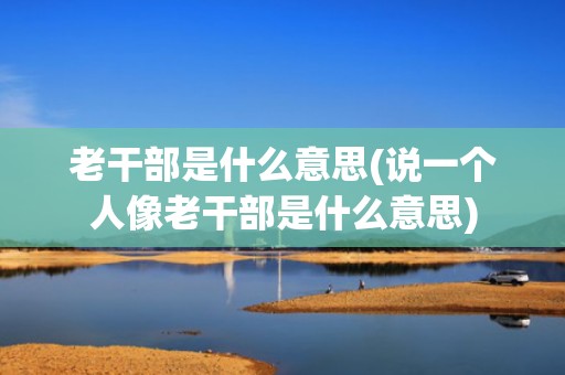 老干部是什么意思(说一个人像老干部是什么意思)