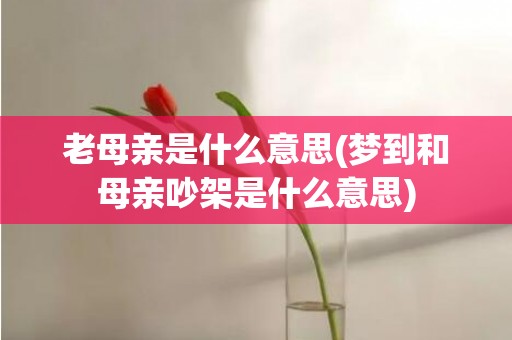 老母亲是什么意思(梦到和母亲吵架是什么意思)