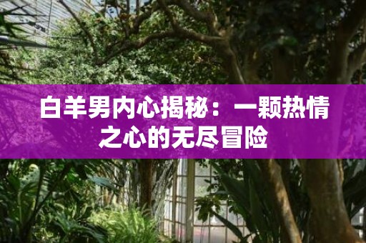 白羊男内心揭秘：一颗热情之心的无尽冒险