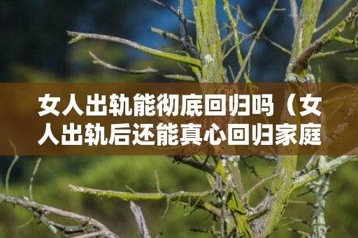女人出轨能彻底回归吗（女人出轨后还能真心回归家庭吗）