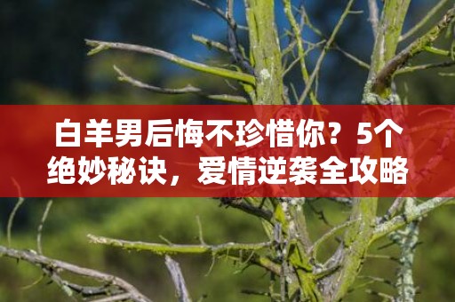 白羊男后悔不珍惜你？5个绝妙秘诀，爱情逆袭全攻略！