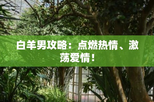 白羊男攻略：点燃热情、激荡爱情！
