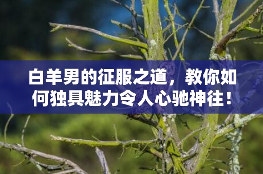 白羊男的征服之道，教你如何独具魅力令人心驰神往！