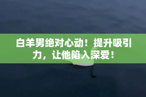 白羊男绝对心动！提升吸引力，让他陷入深爱！