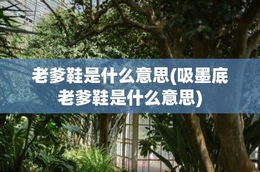 老爹鞋是什么意思(吸墨底老爹鞋是什么意思)
