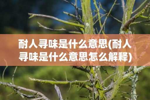 耐人寻味是什么意思(耐人寻味是什么意思怎么解释)