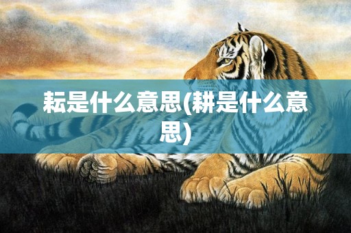 耘是什么意思(耕是什么意思)