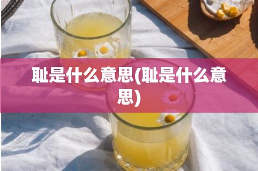 耻是什么意思(耻是什么意思)