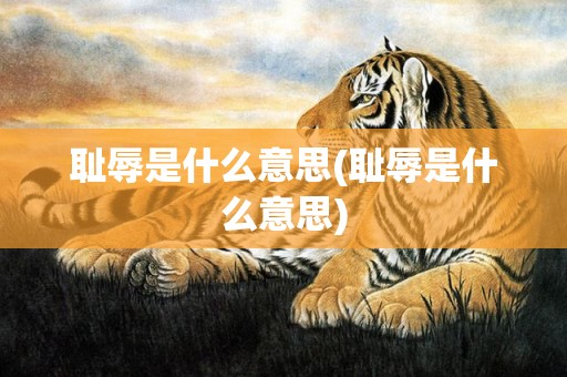 耻辱是什么意思(耻辱是什么意思)