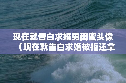 现在就告白求婚男闺蜜头像（现在就告白求婚被拒还拿发票）