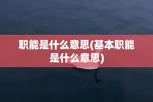 职能是什么意思(基本职能是什么意思)