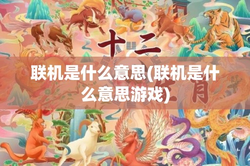 联机是什么意思(联机是什么意思游戏)