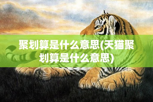 聚划算是什么意思(天猫聚划算是什么意思)
