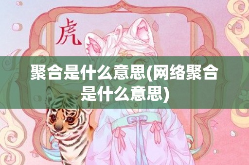 聚合是什么意思(网络聚合是什么意思)