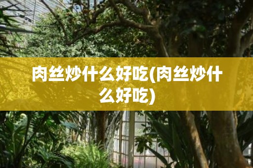肉丝炒什么好吃(肉丝炒什么好吃)