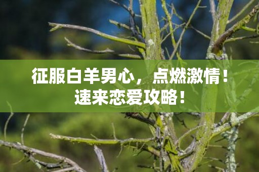征服白羊男心，点燃激情！速来恋爱攻略！