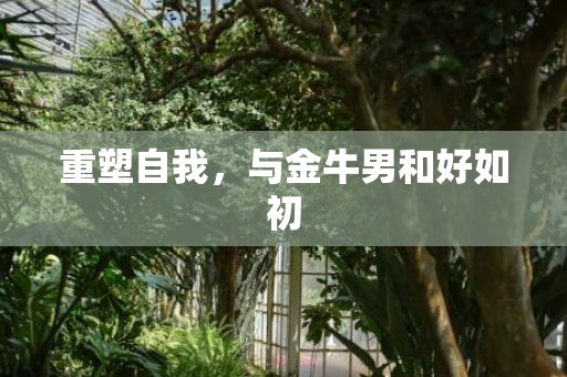 重塑自我，与金牛男和好如初