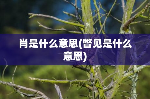 肖是什么意思(瞥见是什么意思)
