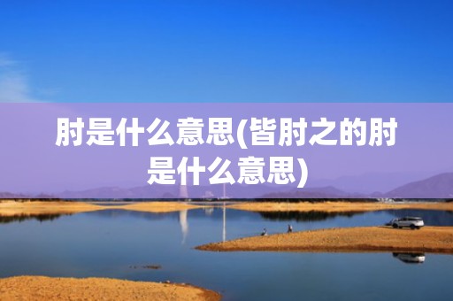 肘是什么意思(皆肘之的肘是什么意思)