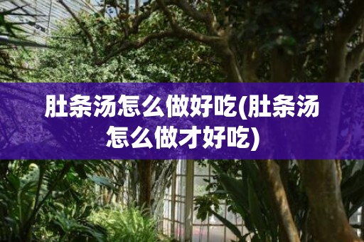 肚条汤怎么做好吃(肚条汤怎么做才好吃)