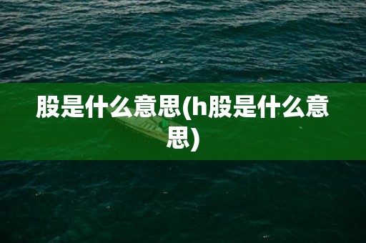 股是什么意思(h股是什么意思)