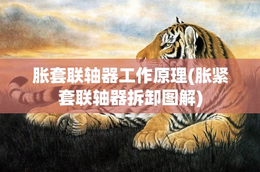 胀套联轴器工作原理(胀紧套联轴器拆卸图解)
