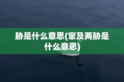 胁是什么意思(窜及两胁是什么意思)
