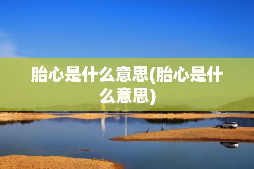 胎心是什么意思(胎心是什么意思)