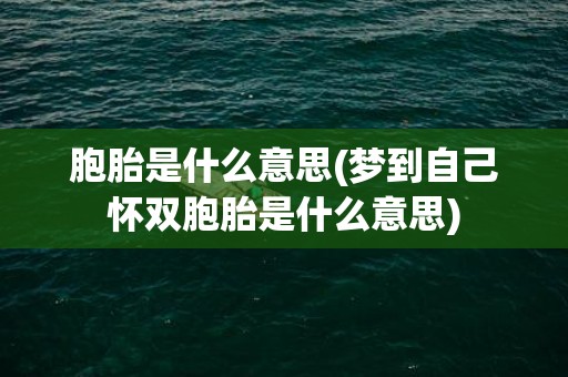 胞胎是什么意思(梦到自己怀双胞胎是什么意思)