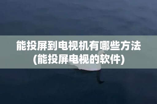 能投屏到电视机有哪些方法(能投屏电视的软件)