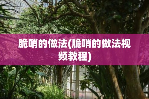 脆哨的做法(脆哨的做法视频教程)